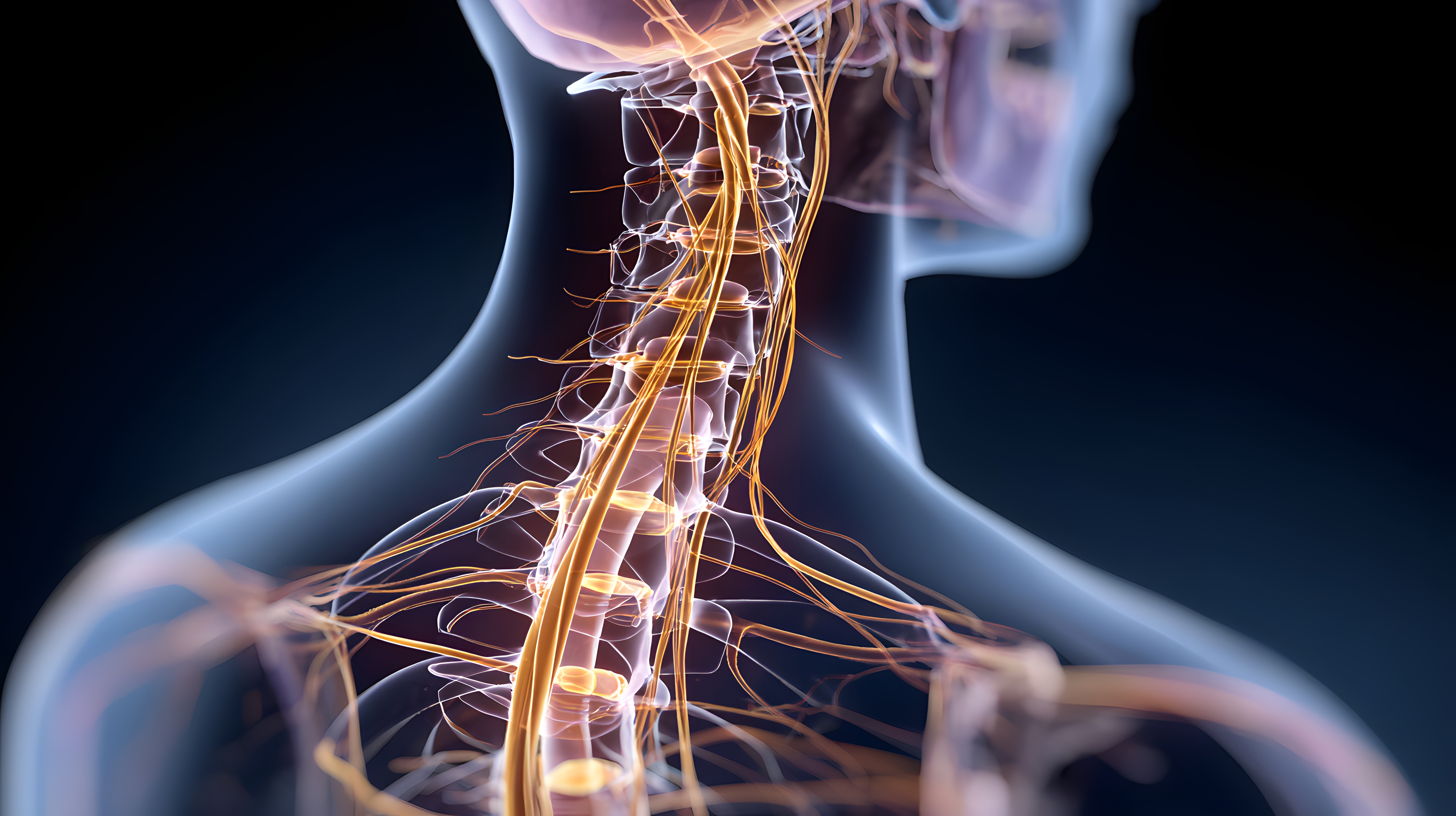 Spine & Neurology